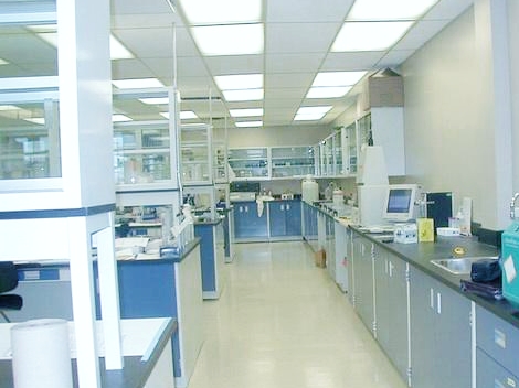 分子微生物实验室4